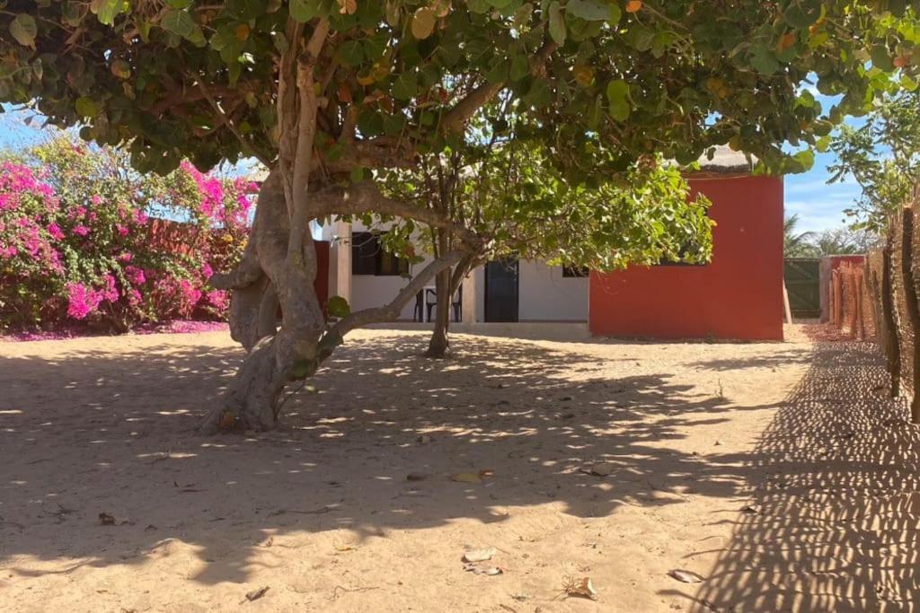 Petite Maison En Bord De Mer Palmarin Nguedj Buitenkant foto